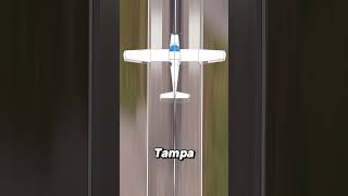 The Shocking Story of the Tampa Plane Crash Copycat [upl. by Neeloc280]