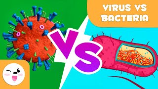 Viruses Vs Bacteria  What are their differences [upl. by Anha140]