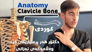 anatomy of upper limbclavicle boneKurdish [upl. by Zenger]