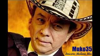 Aniceto Molina Mix  MUKO35 [upl. by Meeharb]