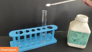 Study the Properties of acetic Acid  Class 10 Science Practical  Carbon and its Compound  NCERT [upl. by Calvo]