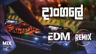 Dangale දාoගලේ Remixcover songEDM TypeNilan Hettiarachchi [upl. by Leira409]