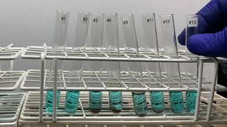 Barfoeds Test for Monosaccharides [upl. by Rosse]