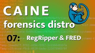 CAINE  07  Windows Registry analysis with RegRipper and Fred [upl. by Barbi22]