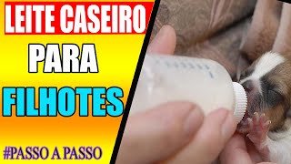 COMO FAZER LEITE CASEIRO PARA FILHOTES RECEM NASCIDO em pouco tempo  PASSO A PASSO [upl. by Ahsiled]