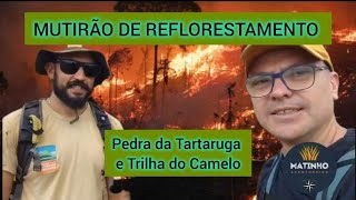 Pedra da Tartaruga e Trilha do Camelo recebem reflorestamento após queimadas  PARTE 1 [upl. by Ibrik]