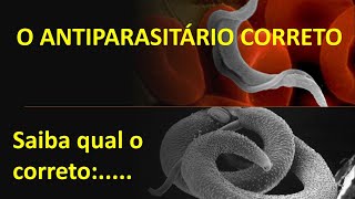 Antiparasitário correto  Saiba qual o antiparasitário para cada PARASITOSE [upl. by Flagler]