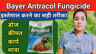 How to use antracol fungicide  Propineb 70wp  Antracol fungicide  bayer antracol fungicide uses [upl. by Razid]