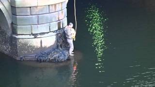 Man rescues pet rabbit from River Liffey 03072011 P1 [upl. by Warrin523]