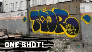 GRAFFITI BOMBING  TEOR [upl. by Klos]