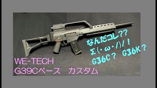 WE TECH？ HampK G36K？ 謎過ぎるG36ガスブローバック 外観レビュー・初速計測 [upl. by Lala]