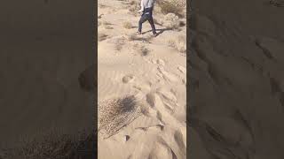 Loaming In The Desert gold sand prospecting hiking desert dune drylakeminingco [upl. by Amsirahc]