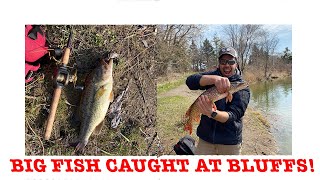 WE CAUGHT A BASS  Pond Snatchers S1E1  Scarborough Bluffers Park Fishing [upl. by Lyred]