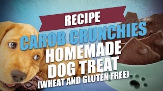 Carob Crunchies Homemade Dog Treat Recipe Wheat and Gluten Free [upl. by Vowel379]