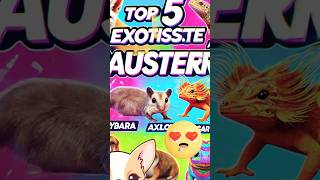 Top 5 Exotische Haustiere🐰🐶🐔Welches ist dein Favorit ExotischeHaustiere Top5 pets [upl. by Arbe]