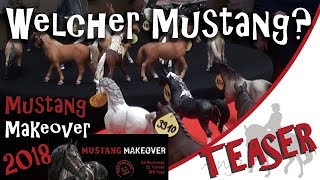 Teaser  Welcher Mustang kommt zu mir Mustang Makeover 2018 [upl. by Melcher]