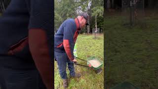 Planting grass seeds shortsfarm [upl. by Rolando]