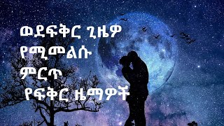 ምርጥ የፍቅር ዜማዎች  Best Amharic Love Songs Ever [upl. by Emmeline127]