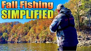 Fall Fishing Simplified with 4 Baits You Need Now [upl. by Katherine913]