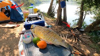 ACAMPAR PESCAR E PREPARAR PEIXE FRITO NA BEIRA DO RIO TUDO PODE MUDAR NO ACAMPAMENTO [upl. by Trueman]