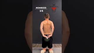 Scapula Exercises For a Stronger Back  best exercise  2024 physiotherapist physiotherapy [upl. by Adnahsal716]