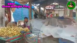 চিতুলিয়া বাজার মুন্সিগঞ্জ।।Chitalia Bazar Munshiganj ll GBM Gram Bangla Vlog ll [upl. by Sevein]