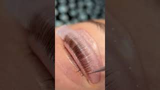 Get ready to flutter those fabulous lashes lashgoals lashliftandtint lashtransformation [upl. by Aliekat]