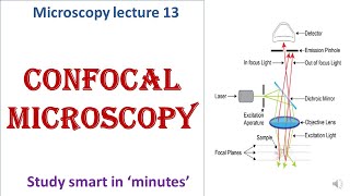 Confocal microscope  working principle  Advantages disadvantages  Microscopy lecture 13 [upl. by Thant]