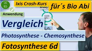 Vergleich Chemosynthese und Photosynthese nach relevanten Kriterien unter Nutzung der Basiskonzepte [upl. by Aynekal]