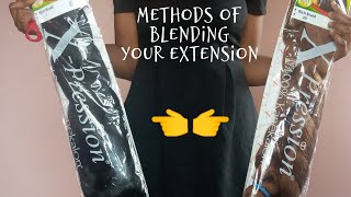 How to mix and blend braiding hair attachment colours [upl. by Ebag]