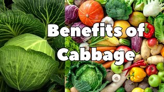 Benefits of Cabbage [upl. by Inatirb58]