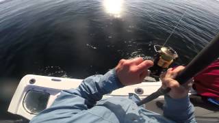 Race Point Cape Cod Striper Fishing 62015 [upl. by Alfi]