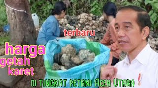 harga karet terbaru di tingkat petani Aceh kembali moncer [upl. by Ysabel]