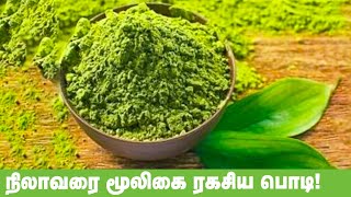 நிலாவரை சூரணம் பயன்கள்  NilavaraiSooranam nalam360 [upl. by Noiro]