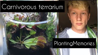 Carnivorous terrarium  maintenance [upl. by Phaih]