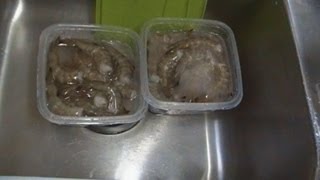 How to Best Thaw Frozen Shrimp Noreens Kitchen Quickie [upl. by Yatnuhs853]