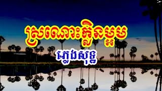 ស្រណោះក្លិនម្អម ភ្លេងសុទ្ធ ២០២៥ [upl. by Doralynn]