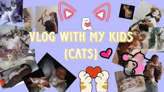 My daily routine every day with my cats  🐈 [upl. by Sharity]