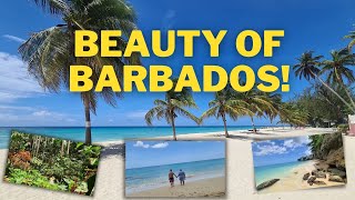 Barbados  Best Beaches and Places to Visit [upl. by Sukram799]