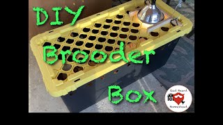 Brooder Box DIY  EASY AND CHEAP [upl. by Eseekram]