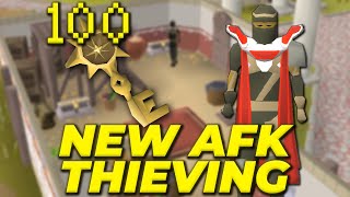 I Opened 100 House Keys For The NEWEST Thieving Method Guide House Keys [upl. by Biggs]