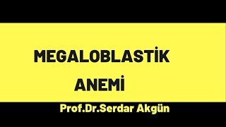 Hematoloji Megaloblastik Anemi Özet ve Tedavi [upl. by Falkner758]