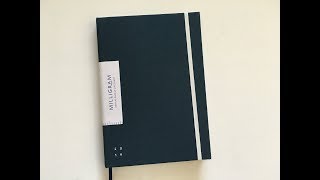 Milligram Family Planner Review Pros Cons amp Pen Test [upl. by Ecirtnas]