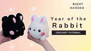 Beginner Tutorial How to crochet the year of the rabbit Right Handed [upl. by Bronson]