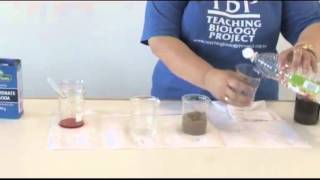 Video 9  TESTING PH OF SOILS WITH VINEGAR amp BICARBONATE OF SODAmp4 [upl. by Enomas]