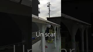 Un scar sercos construction 金網ネトフェンス [upl. by Elene603]