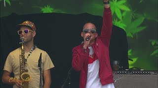 Collie Buddz quotCome Aroundquot Live  California Roots 2017 [upl. by Siednarb58]