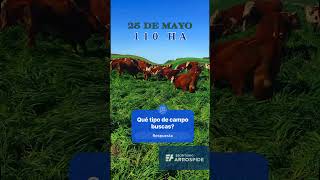 Invertir en Campo en Uruguay Con 45 años en Agronegocios te asesoramos para elegirlo realestate [upl. by Roer52]