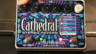 Cathedral ElectroHarmonix Reverb Pedal [upl. by Webber]