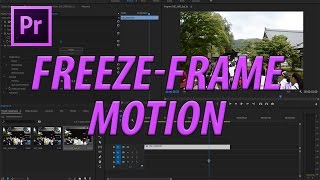 How to Create LowFramerate Motion in Adobe Premiere Pro [upl. by Jedthus]